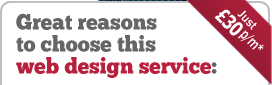 Great reasons to choose this web design service: